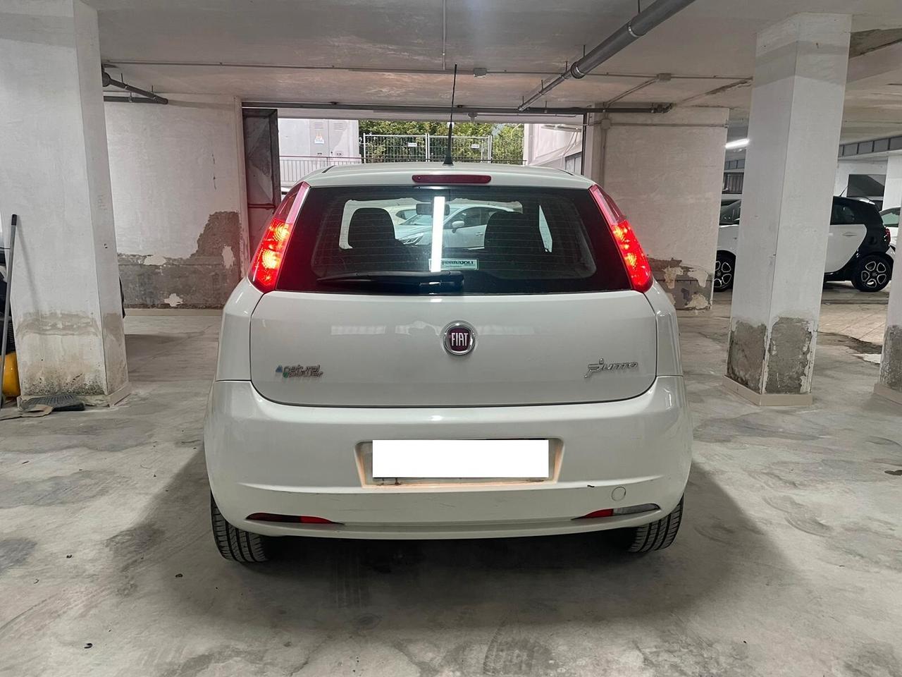 Fiat Punto 1.4 8V 5 porte Natural Power Lounge