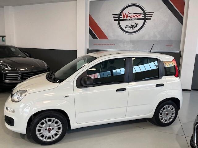 Fiat Panda 1.2 Easy 4 posti OK NEO PATENTATO