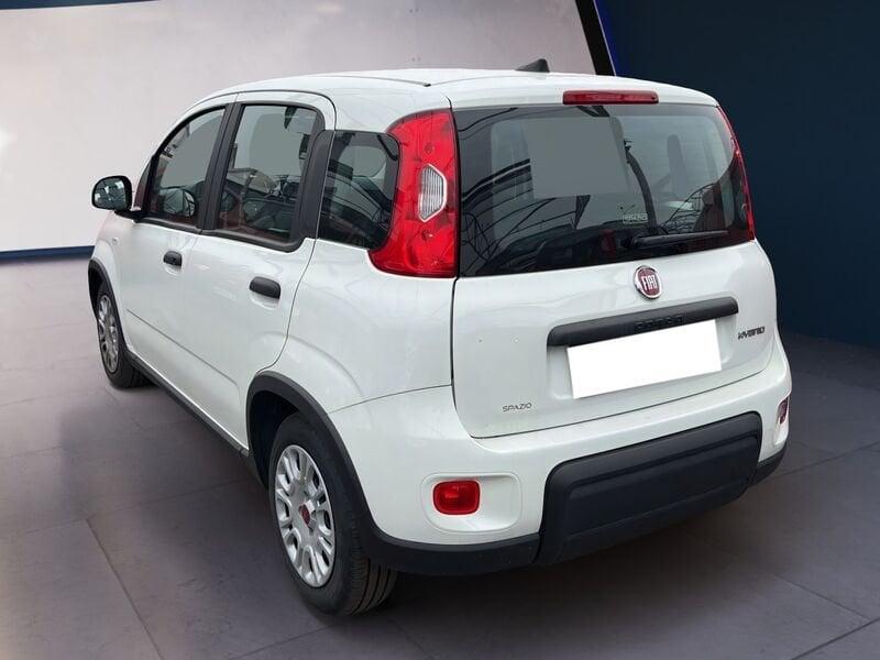 FIAT Panda My23 1.0 70cv Hybrid Panda