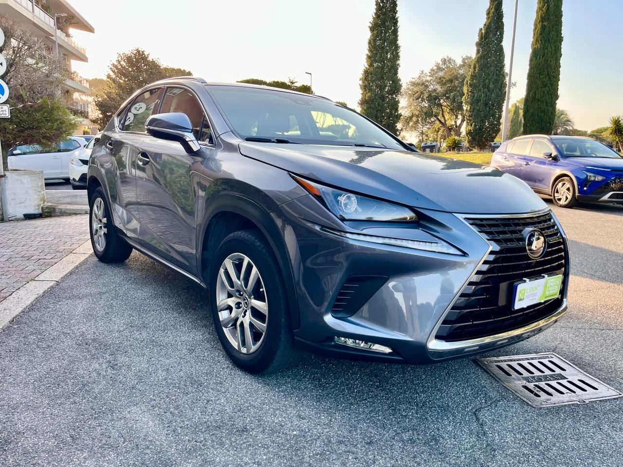 Lexus NX 300h Hybrid 4WD Business