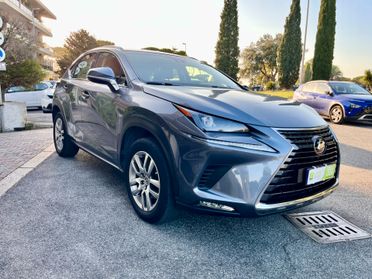 Lexus NX 300h Hybrid 4WD Business