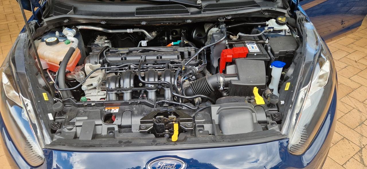 Ford Fiesta 1.2 60CV 5 porte Ambiente 36.119 km