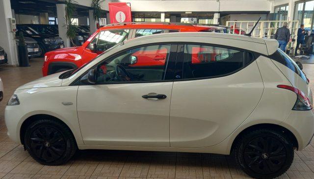 LANCIA Ypsilon 1.2 69 CV 5 porte S&S Elefantino Blu