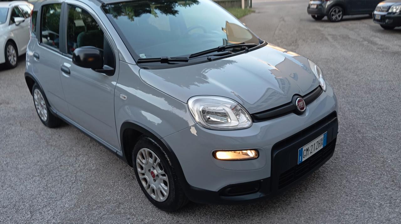 Fiat Panda 1.0 FireFly S&S Hybrid City Life