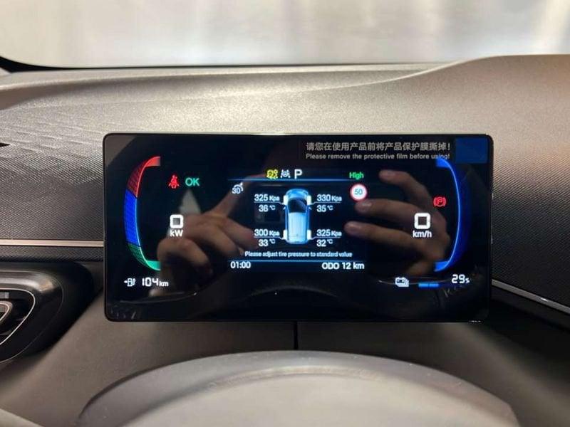 BYD Dolphin Surf Boost