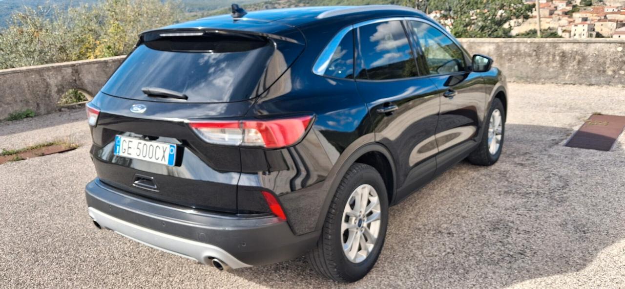 Ford Kuga 1.5 EcoBlue 120 CV 2WD Titanium