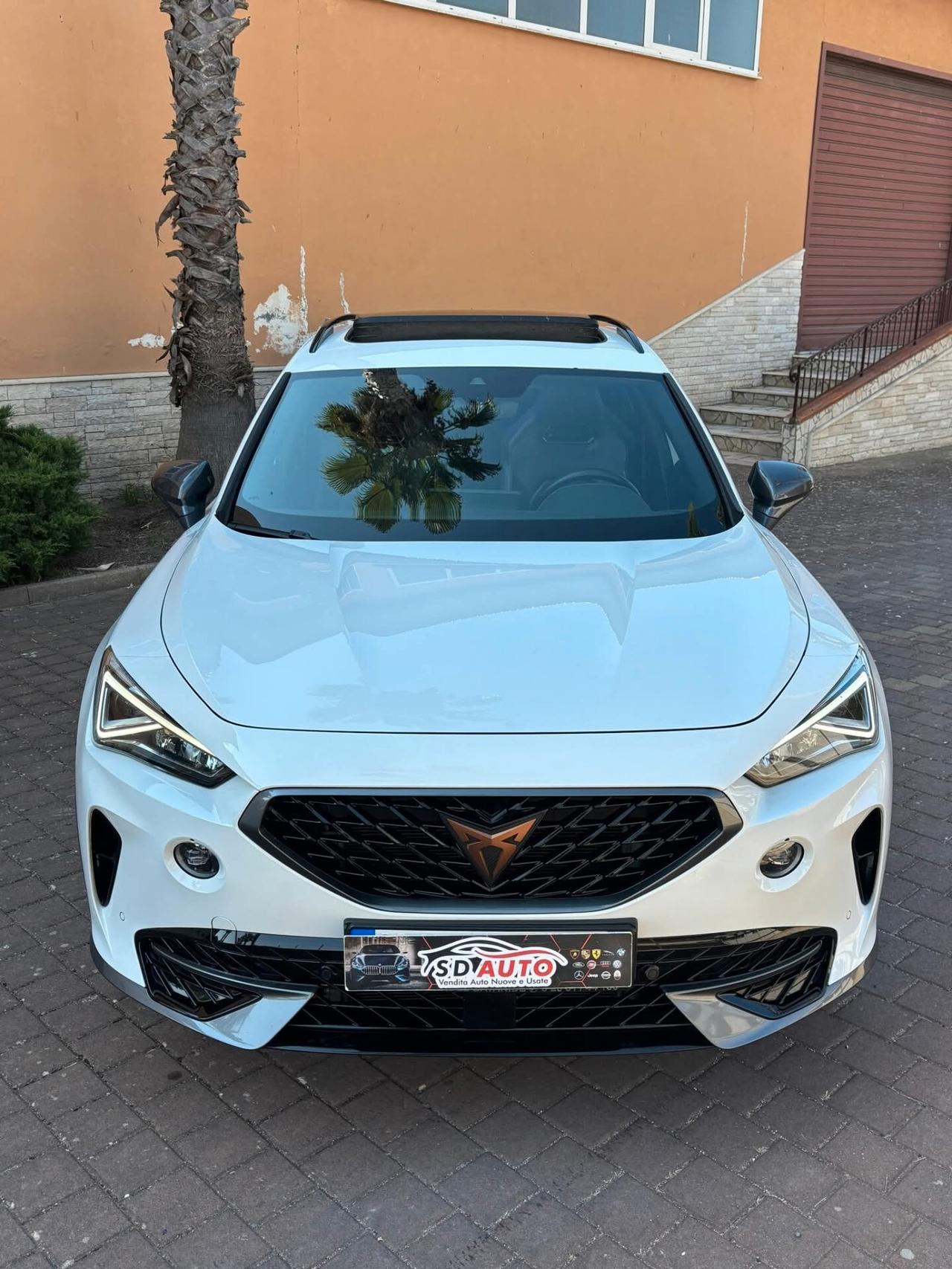 Cupra Formentor 2.0 TDI