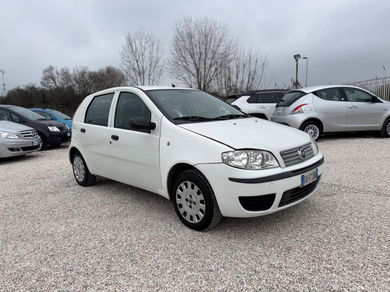 Fiat Punto Classic 1.2 5 porte Active GPL