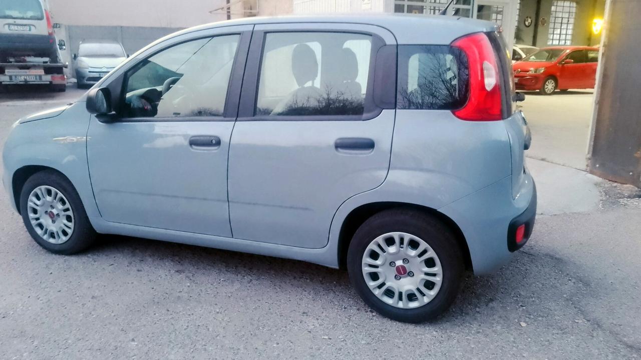 Fiat Panda 1.0 FireFly S&S Hybrid 2022 neopatentati