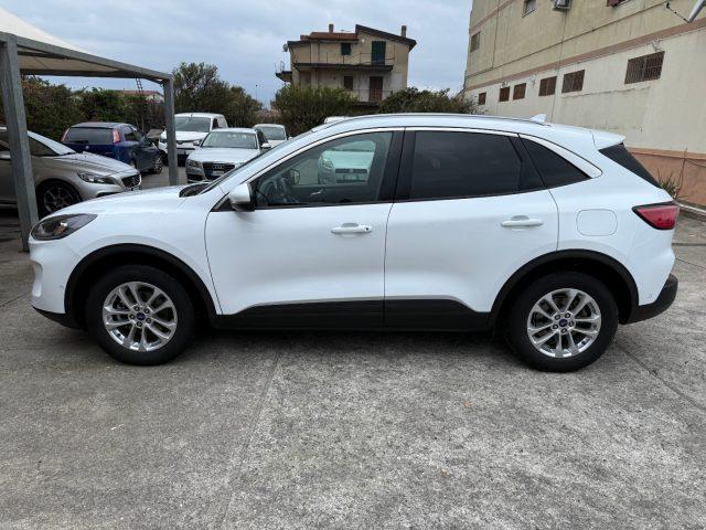 FORD Kuga 1.5 EcoBlue 120CV aut. 2WD Titanium Business