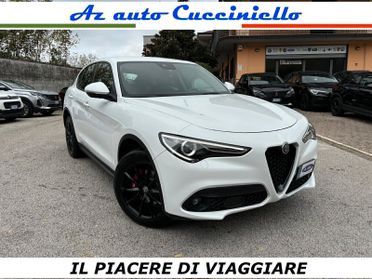 Alfa Romeo Stelvio 2.2 180 CV AT8 Q4 Executive FULL CARBON