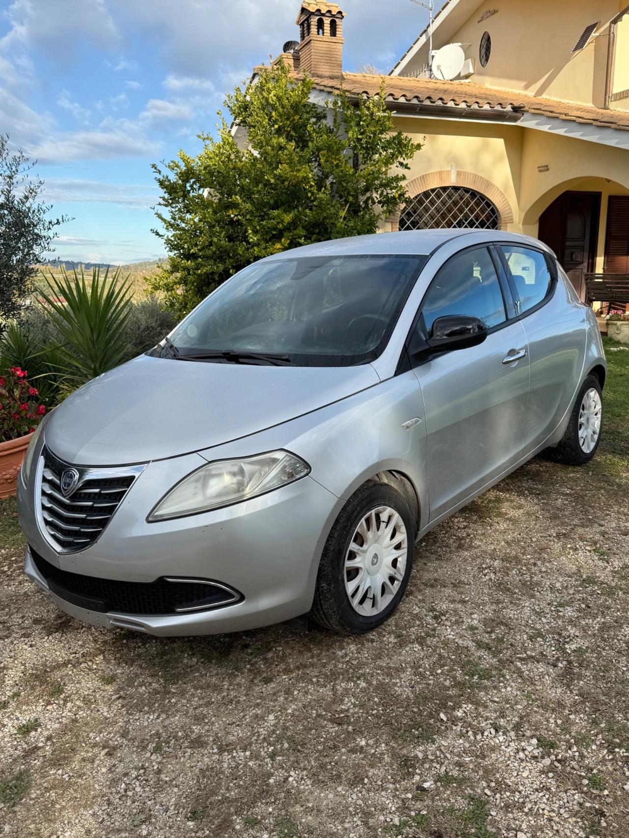 Lancia Ypsilon 1.3 MJT 16V 95 CV 5 porte S&S Platinum