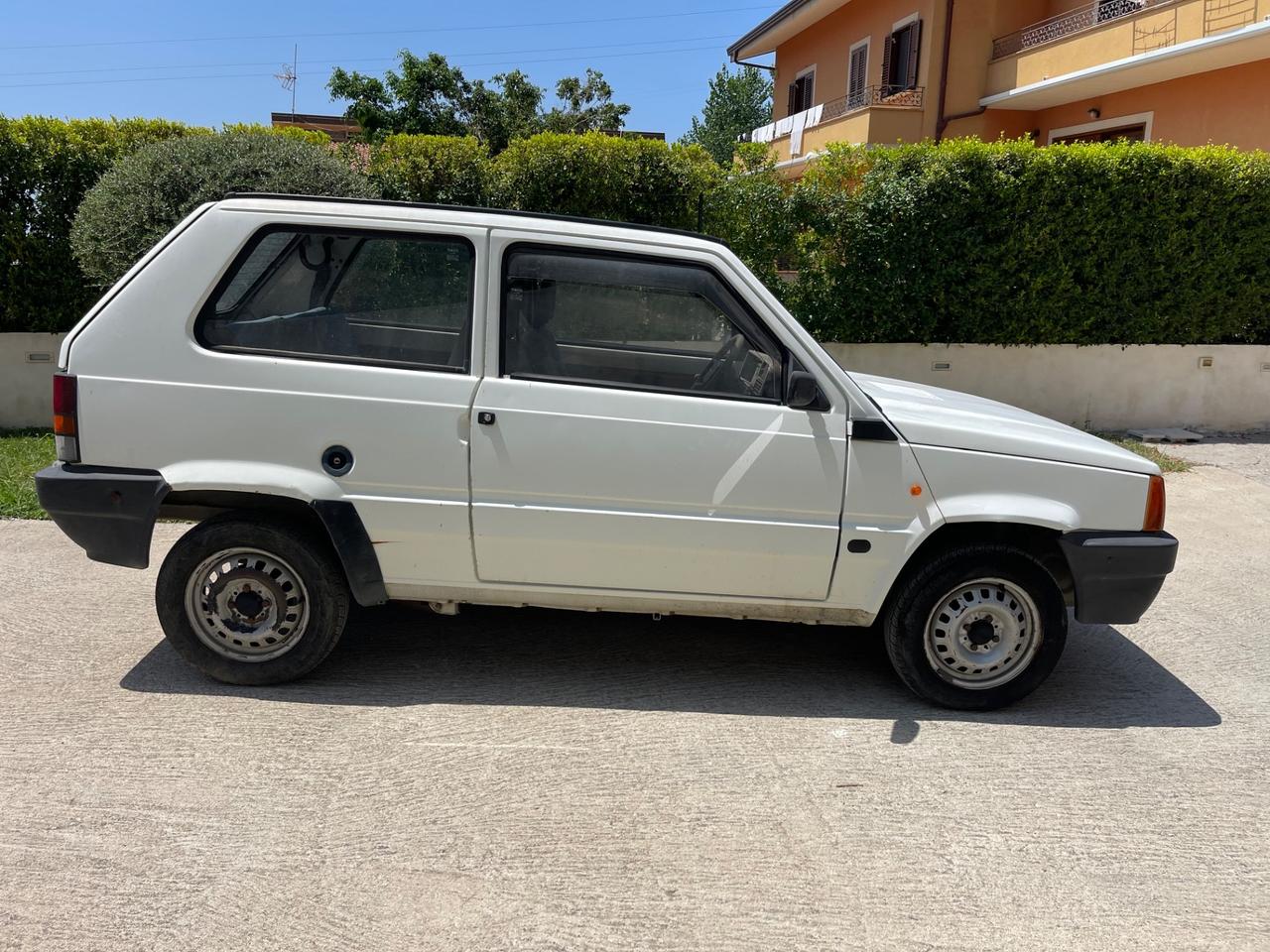 Fiat Panda 900 i.e. cat Young