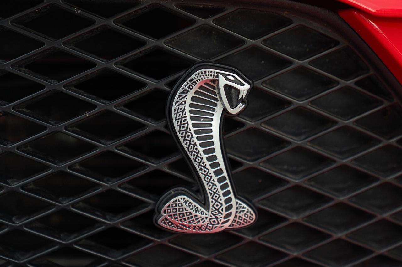 Ford Mustang GT 500 SHELBY COBRA MANUALE - RDS01872