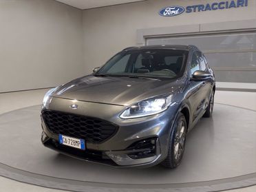 FORD Kuga 2.0 ecoblue ST-Line X awd 190cv auto del 2020