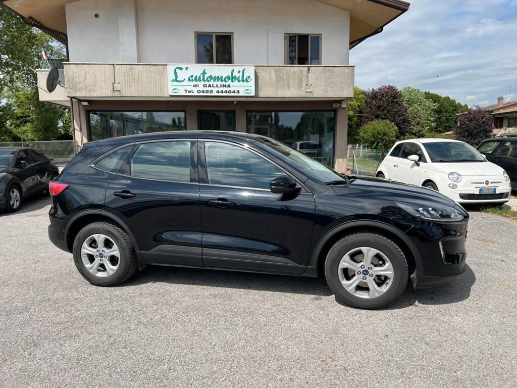Ford Kuga 1.5 EcoBlue 120 CV aut. 2WD Connect