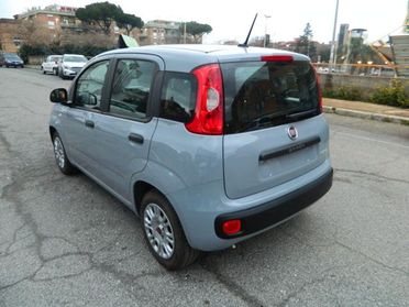 FIAT Panda 1.0 Hybrid 70CV E6D - UNIPRO TAGLIANDATA