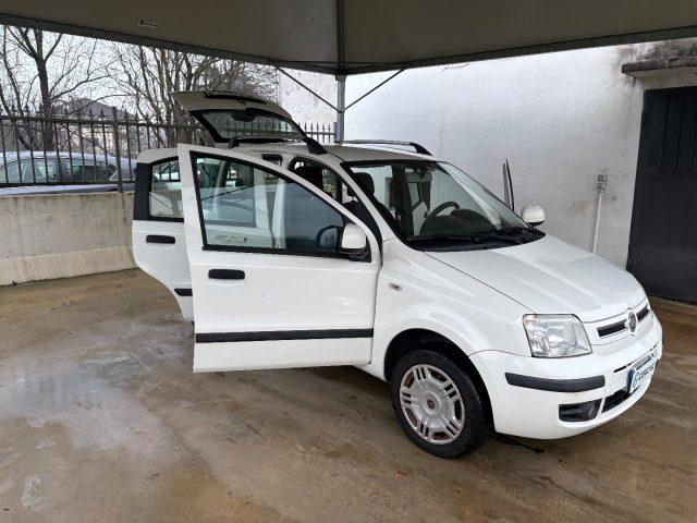 FIAT Panda 1.2 Dynamic BENZ/METANO OK NEOPATENTATI FARI FENDI