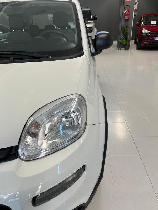 Fiat Panda 1.0 firefly hybrid Sport s&s 70cv 5p.ti
