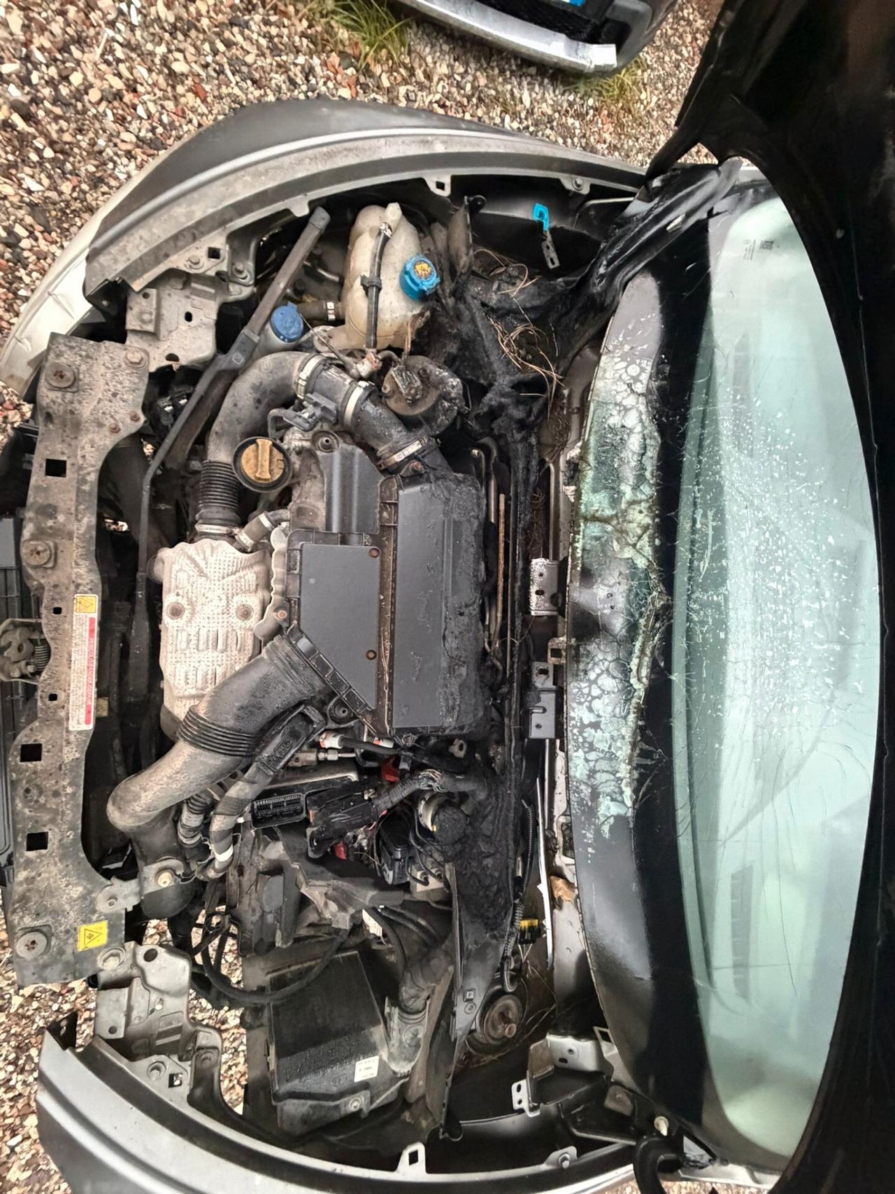 Lancia Ypsilon 1.3 MJT 16V 95 CV 5 porte S&S Platinum