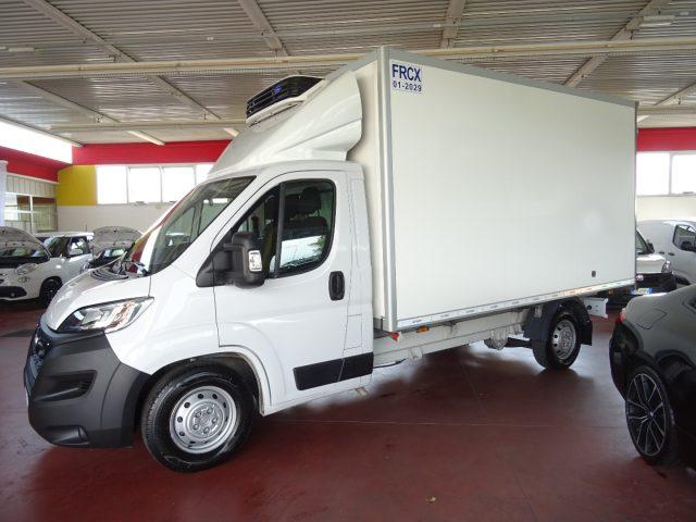 OPEL Movano 35q.li Maxi 140hp PL Cella 3.70 -20° Doppia Temp.