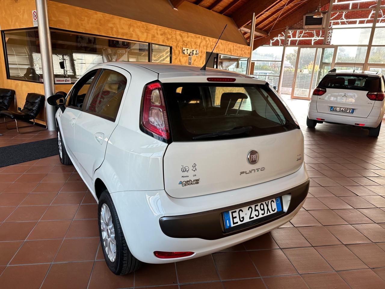 Fiat Punto Evo 1.4 5 porte Dynamic Natural Power metano