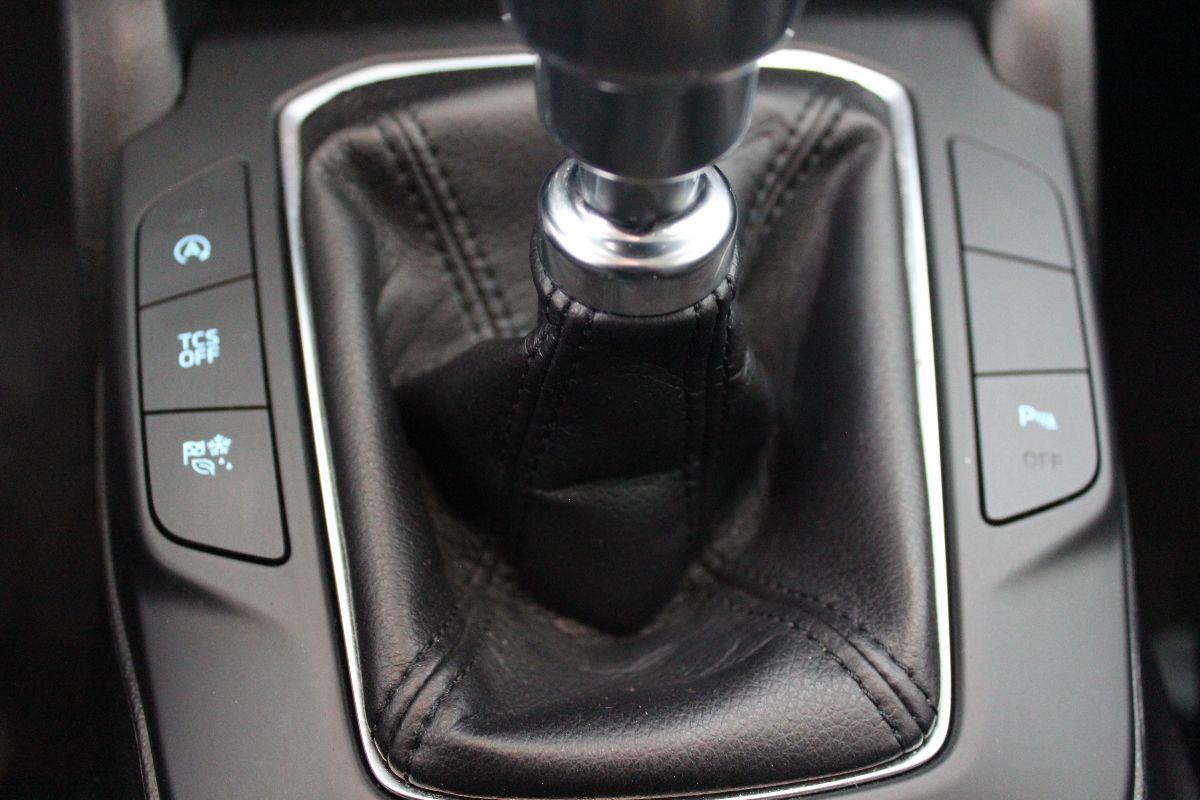 FORD - Focus Station Wagon - Focus 1.5 EcoBlue 120CV SW Business