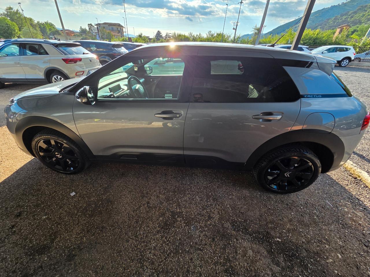 Citroen C4 Cactus BlueHDi 100 S&S Shine