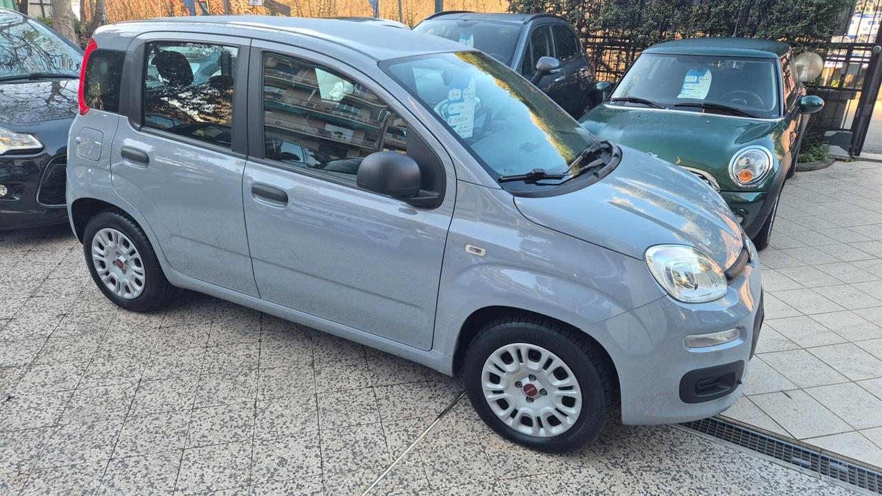 Fiat Panda 1.2 Easy