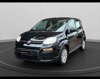 FIAT Panda III 2021 - Panda 1.0 firefly hybrid s&s 70cv