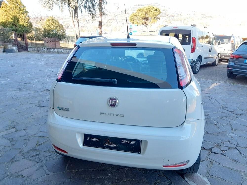 Fiat Punto Evo 1.4 5 porte Emotion Natural Power NEO PATENTATI