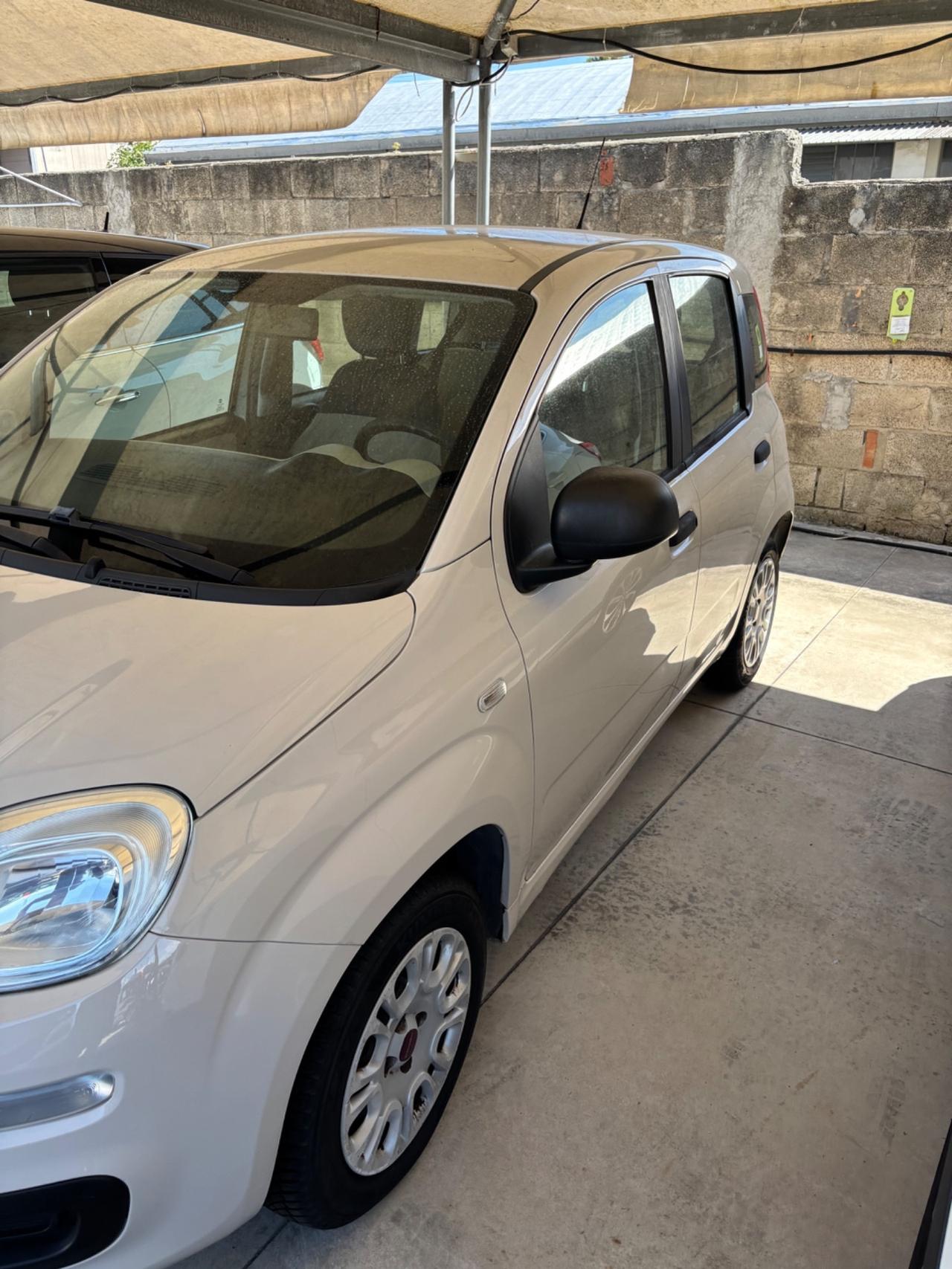 Fiat Panda 1.2 Easy neo patentato
