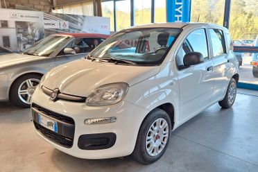 Fiat Panda 1.2 Easy NEOPATENTATI POCHI KM
