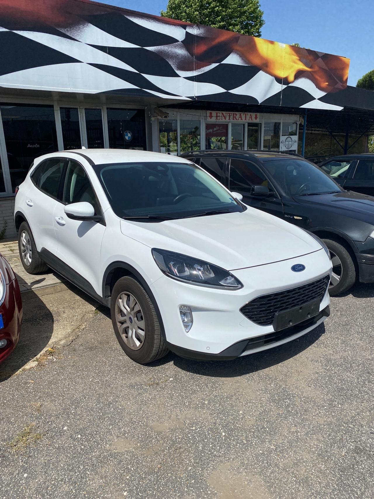 Ford Kuga 1.5 EcoBlue 120 CV 2WD Titanium