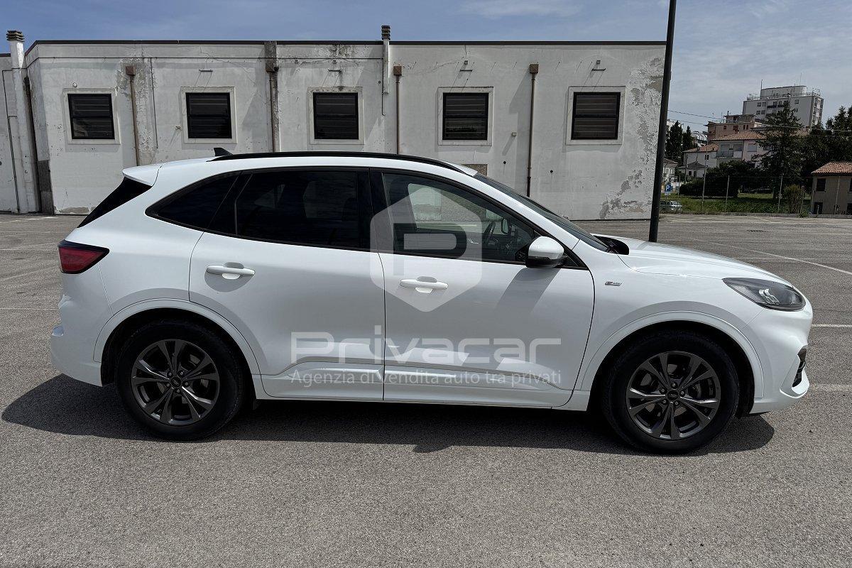 FORD Kuga 1.5 EcoBlue 120 CV 2WD ST-Line