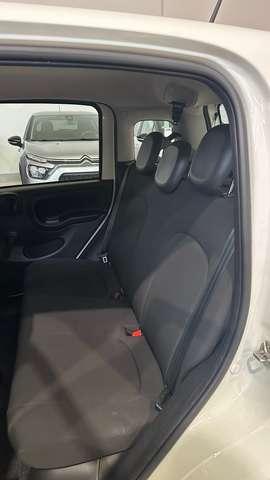 Fiat Panda 1.0 firefly hybrid 69CV City Life