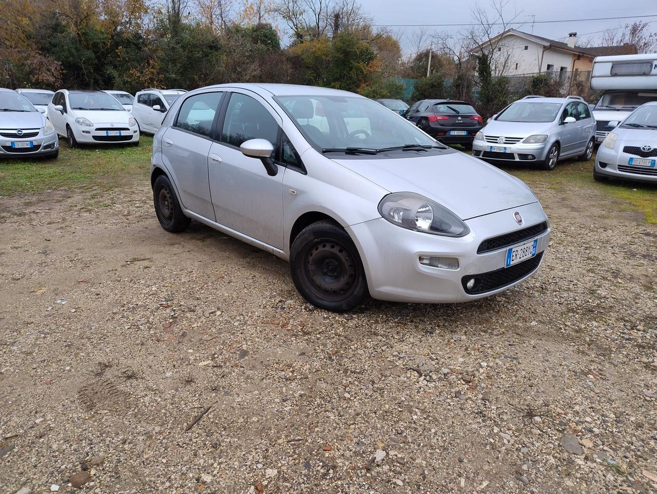 Fiat Punto 1.3 MJT II 75 CV 5 porte Street