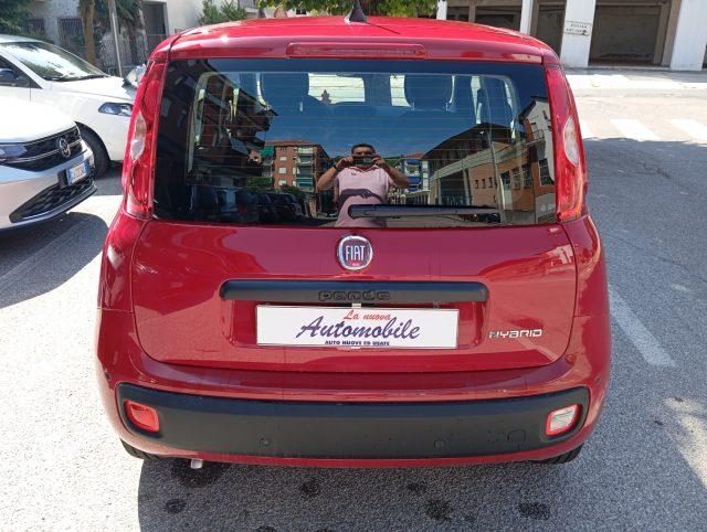 FIAT Panda 1.0 FireFly HYBRID KM 0 SENSORI POST PREZZO REALE