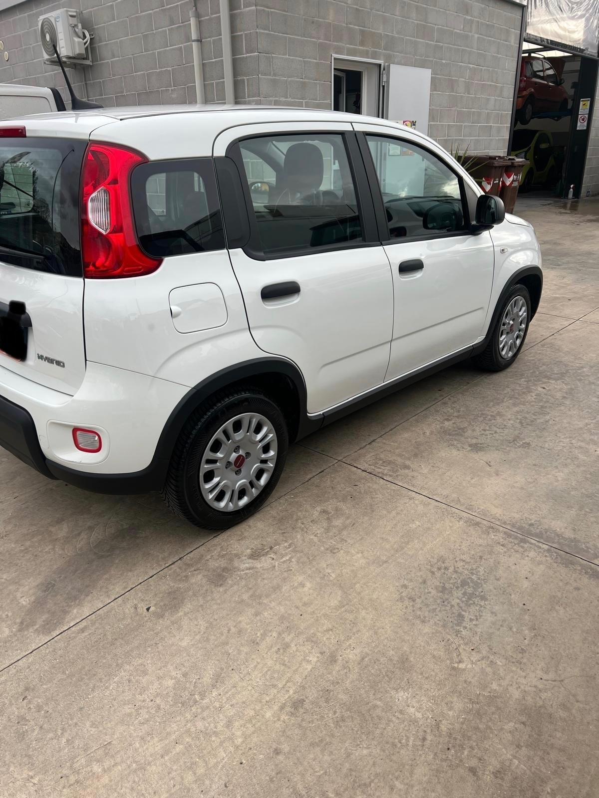 Fiat Panda 1.0 FireFly S&S Hybrid