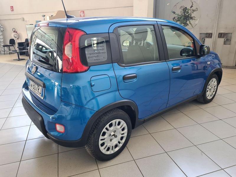 FIAT Panda 1.0 FireFly 70cv S&S Hybrid Pandina