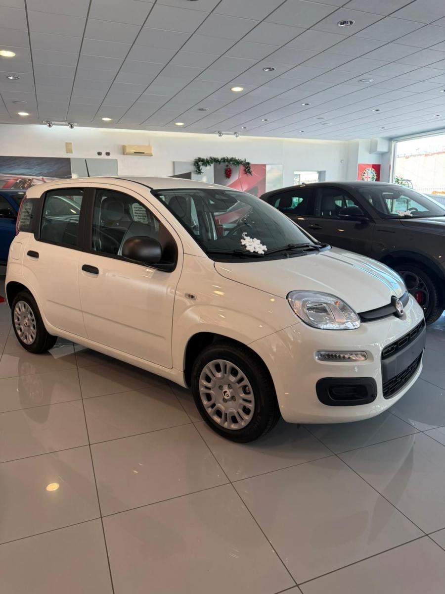 FIAT - Panda - 1.0 FireFly S&S Hybrid Pandina
