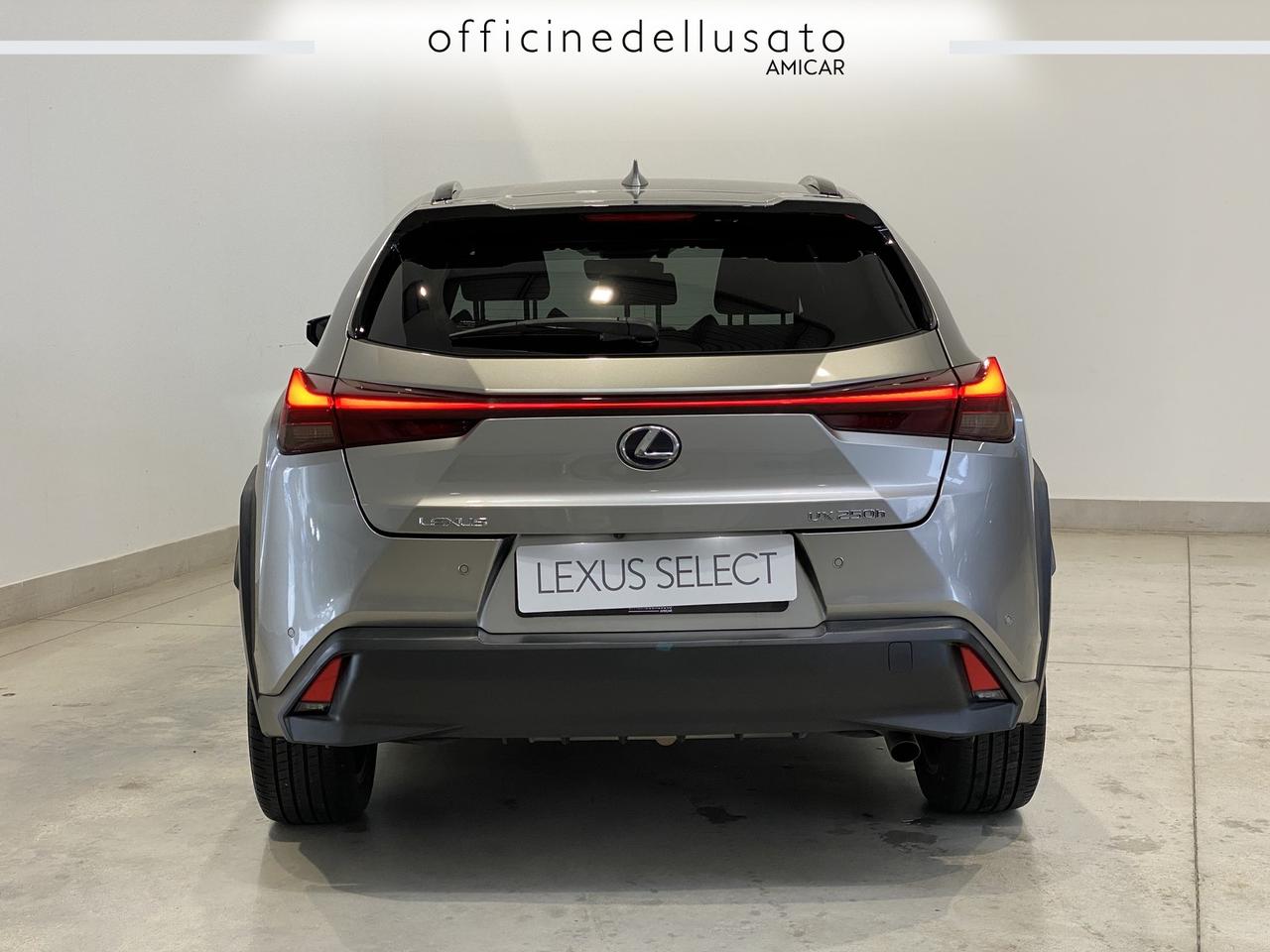 Lexus UX 250 2.0 hybrid midnight 2wd