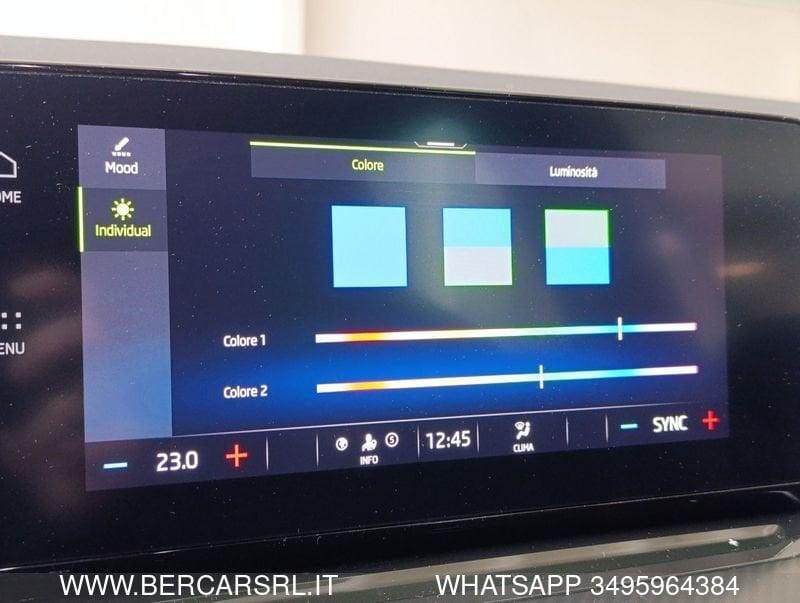 Skoda Octavia Octavia 2.0 TDI EVO SCR 200 CV DSG 4x4 Wagon RS