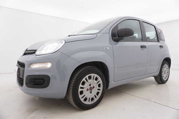 Fiat Panda Easy BR309703 1.2 Benzina 69CV