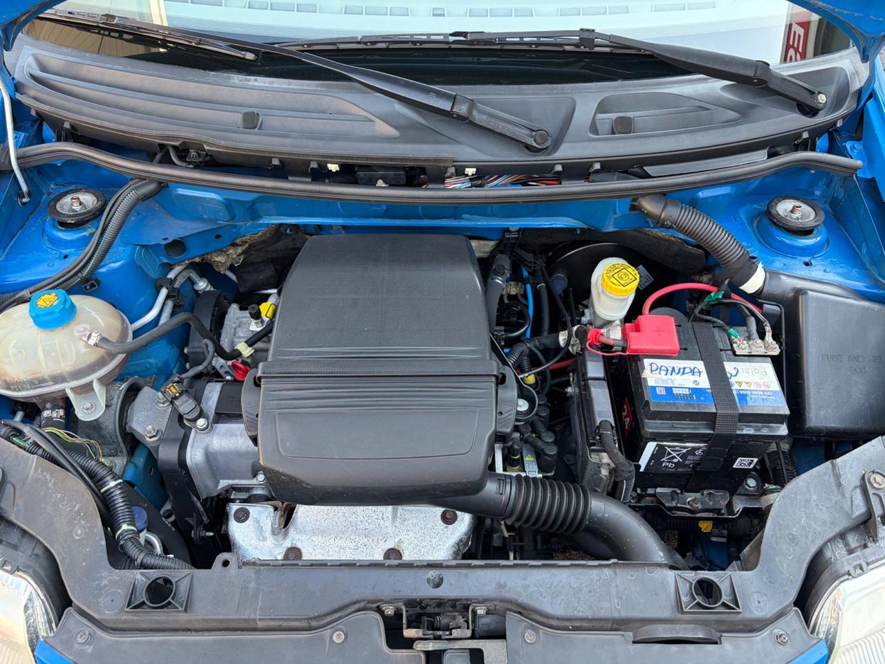 Fiat Panda 1.2 Dynamic PERFETTA NEOPATENTATI