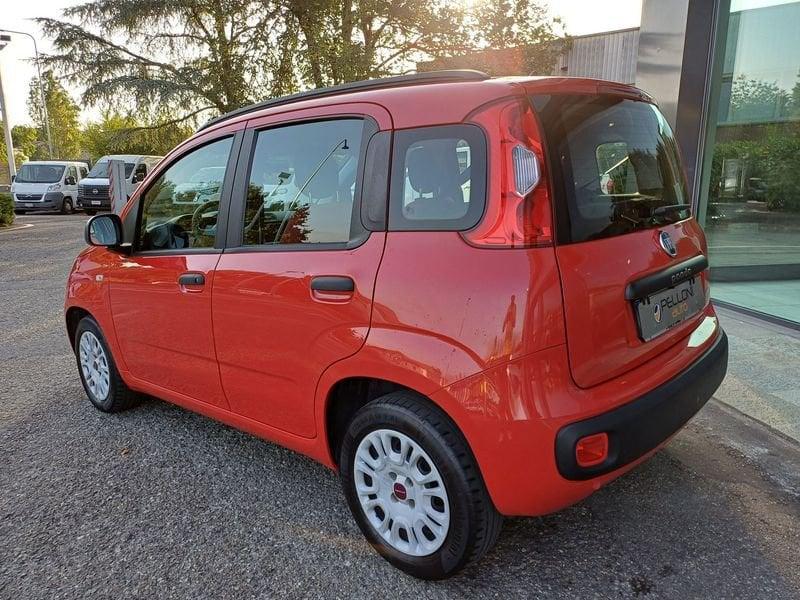 FIAT Panda Panda 1.2 69cv my19 KM CERTIFICATI-GARANZIA