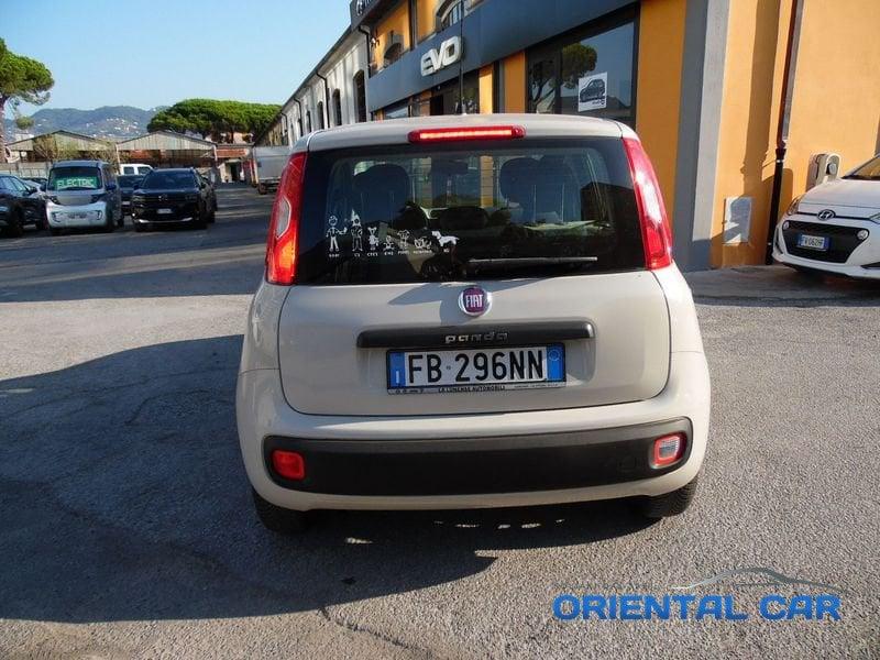FIAT Panda Panda 1.2 Easy 69cv SOLO 68.000 KM CON KIT DISTRIBUZIONE NUOVA