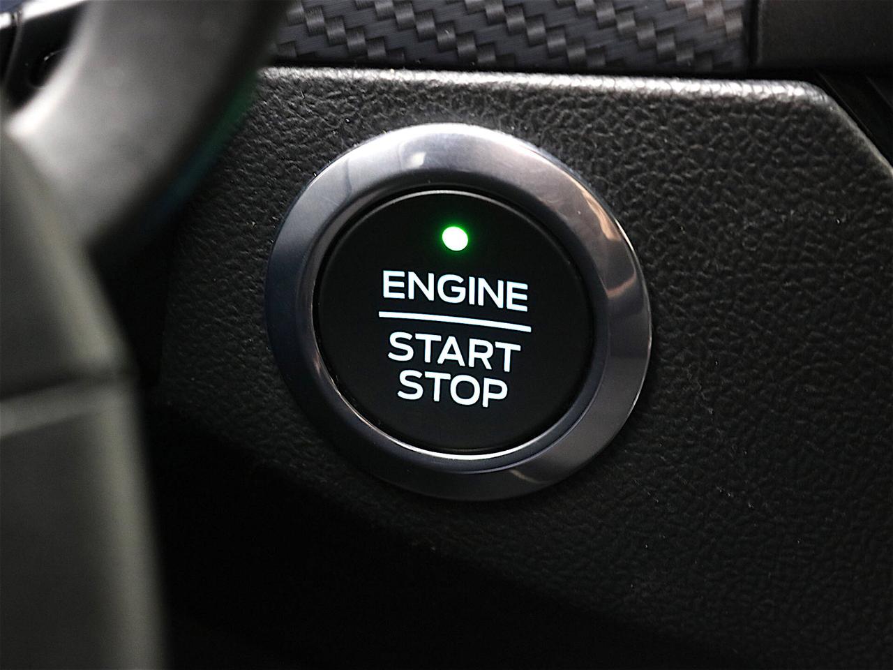 Ford Focus 1.5 EcoBlue ST-Line TETTO APRIBILE