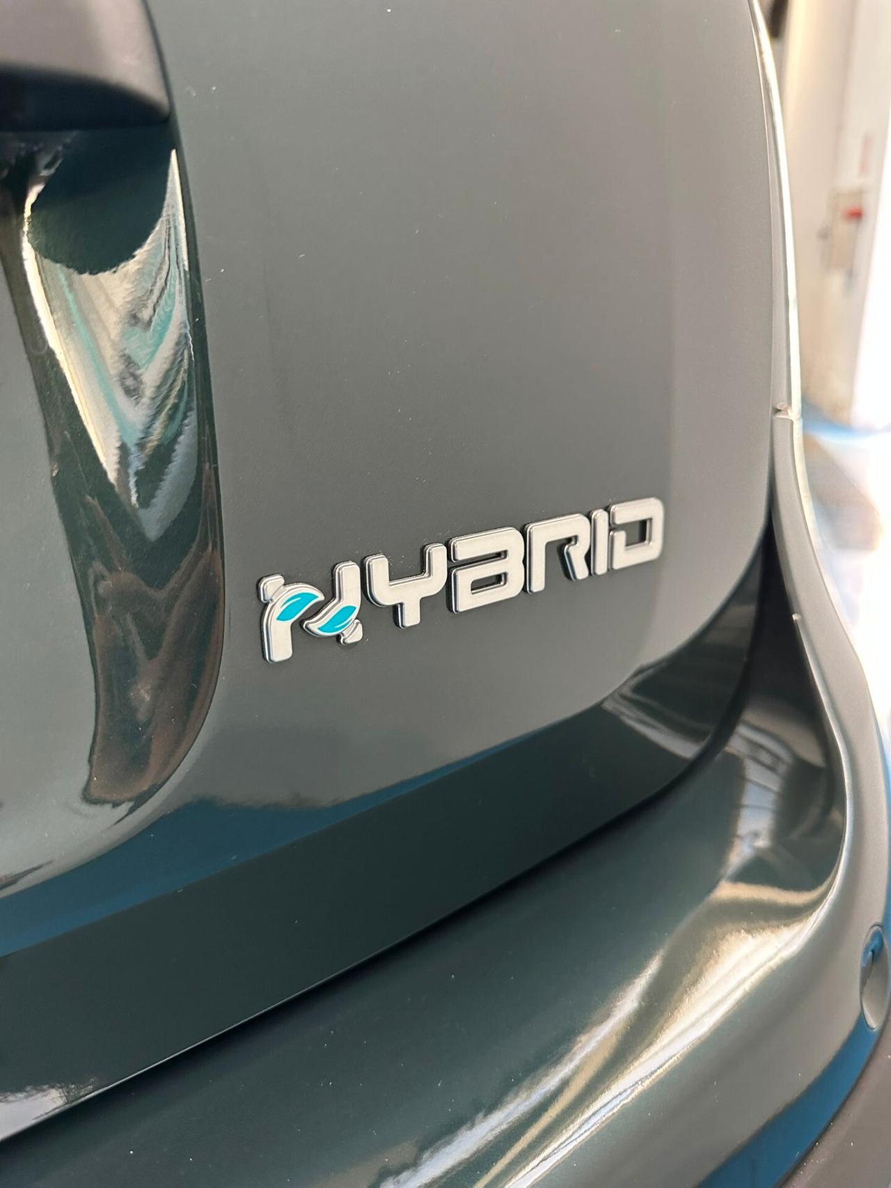 Fiat Panda 1.0 FireFly S&S Hybrid