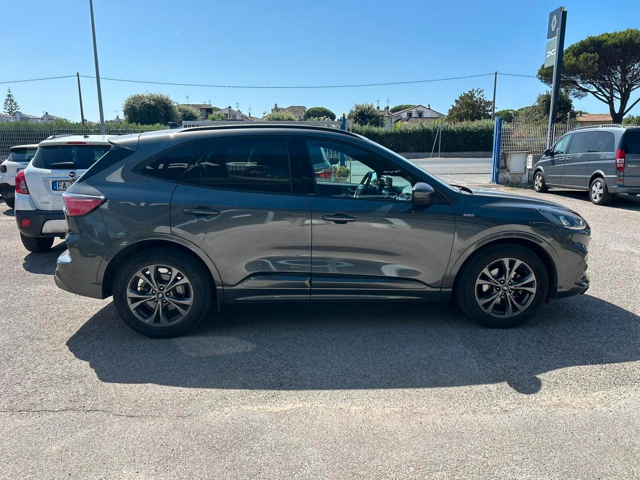 Ford Kuga 1.5 EcoBlue 120 CV 2WD ST-Line